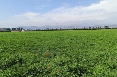 Gran Terreno de 4Ha en Huaral: El Futuro Urbano Está Aquí