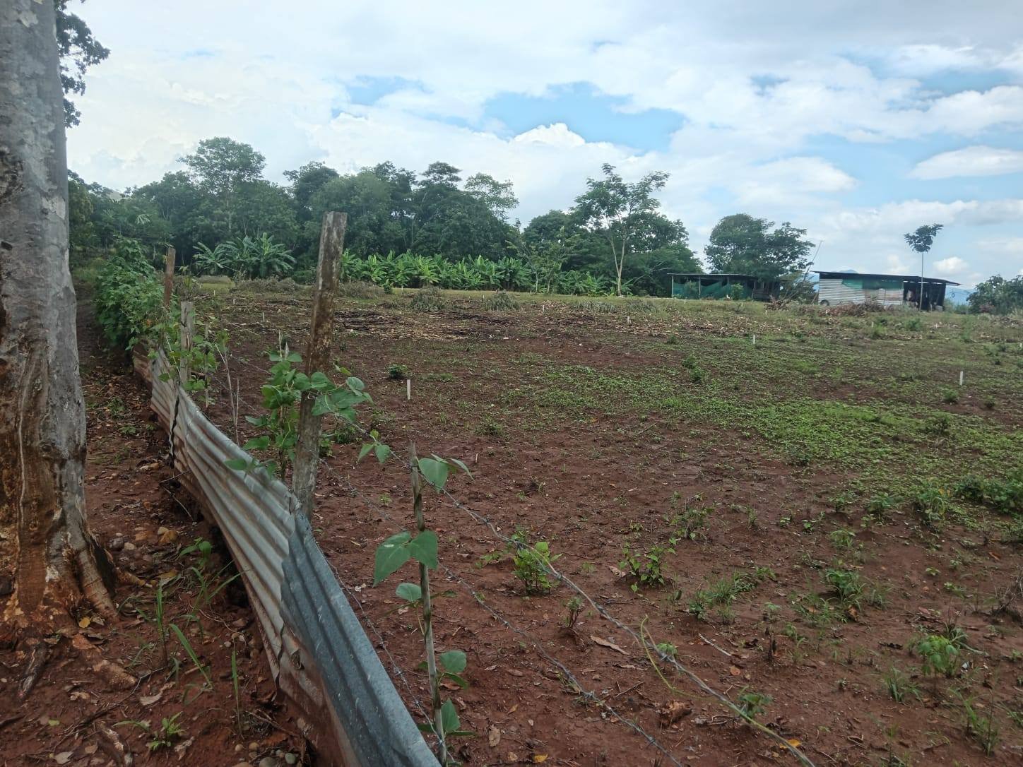 Colinas de Cacatachi