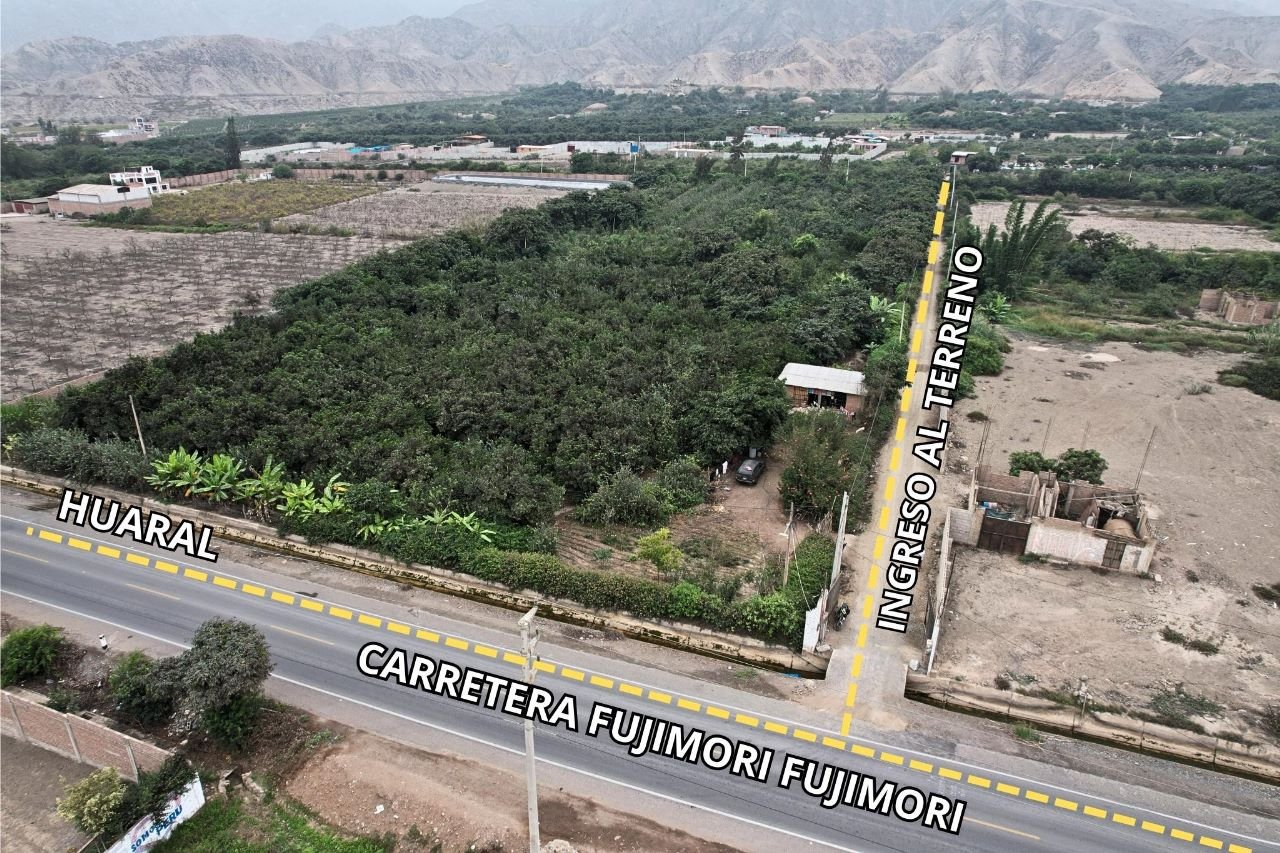 El Bosque de la Esperanza