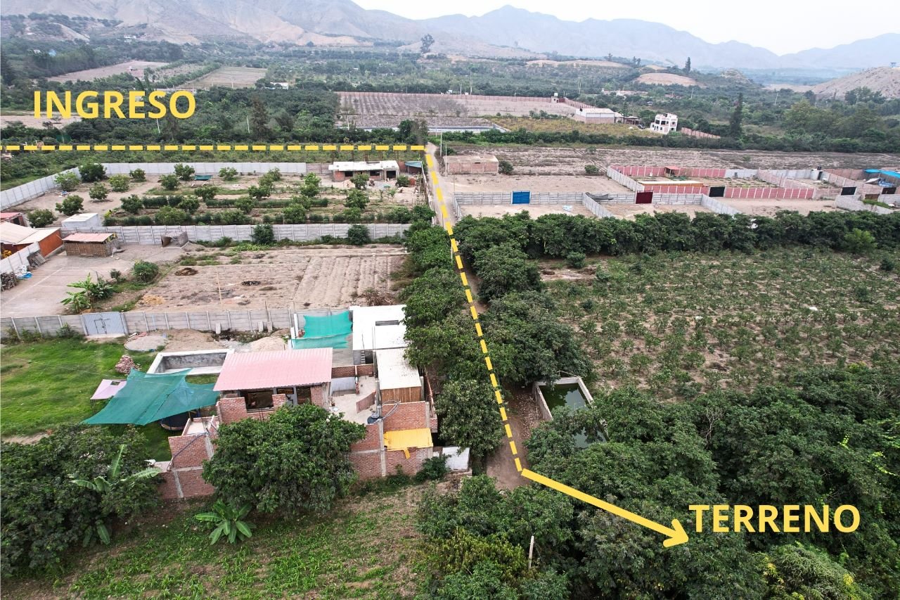 El Bosque de la Esperanza