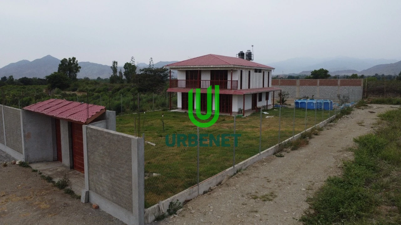 Fundo de Mandarinas de 3 Hectáreas