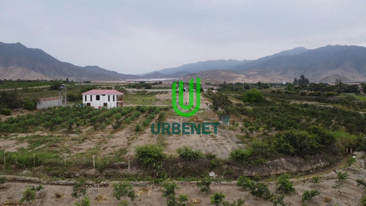 Fundo de Mandarinas de 3 Hectáreas