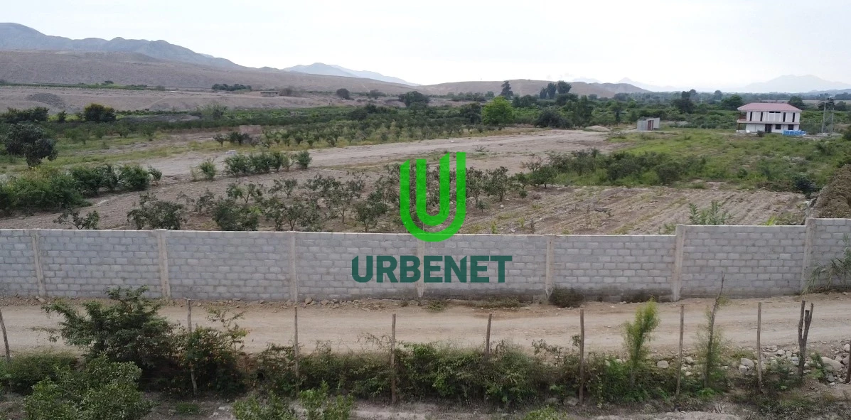 Fundo de Mandarinas de 3 Hectáreas