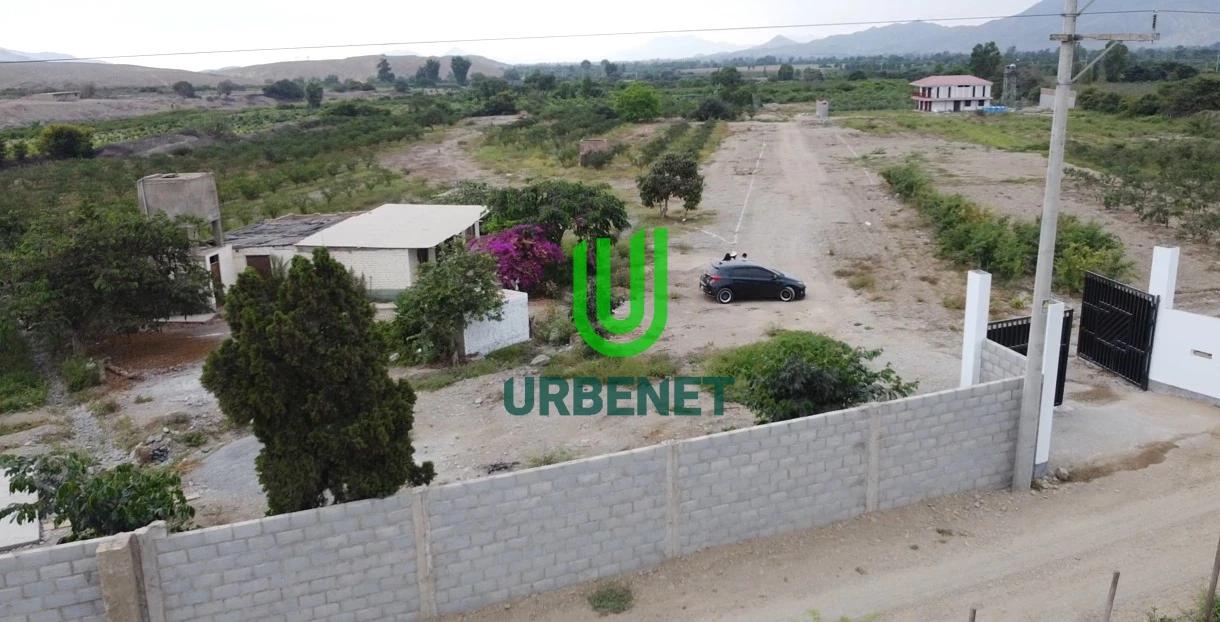 Fundo de Mandarinas de 3 Hectáreas