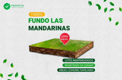 Fundo de Mandarinas de 3 Hectáreas