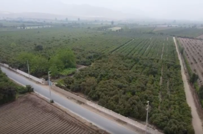 Oportunidad Única de Inversión 3.5Ha en Palpa - Huaral