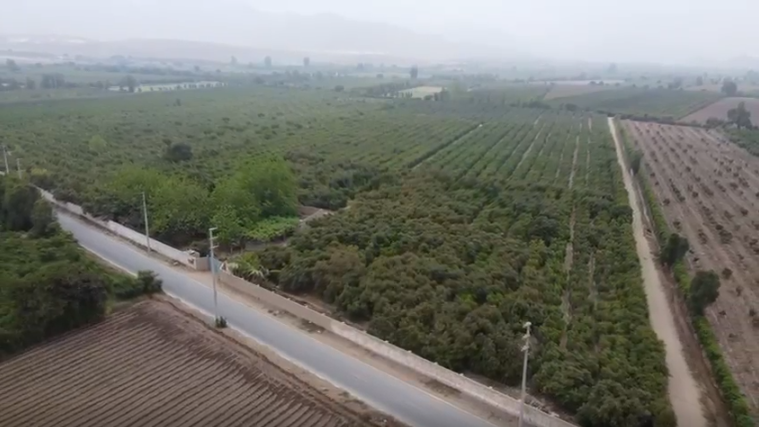 Oportunidad Única de Inversión 3.5Ha en Palpa - Huaral