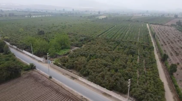 Oportunidad Única de Inversión 3.5Ha en Palpa - Huaral