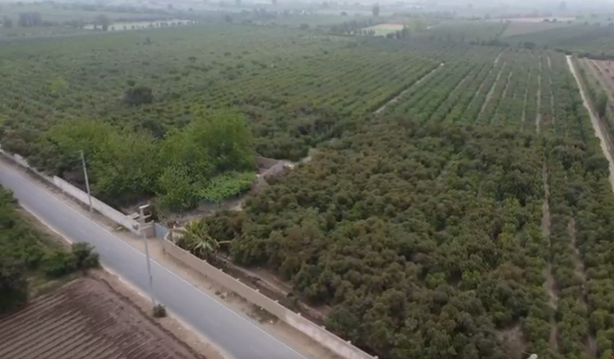 Oportunidad Única de Inversión 3.5Ha en Palpa - Huaral